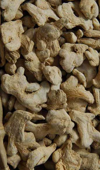 GRAIN GINGER 50 Kg. BAG